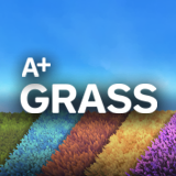 A+ Grass